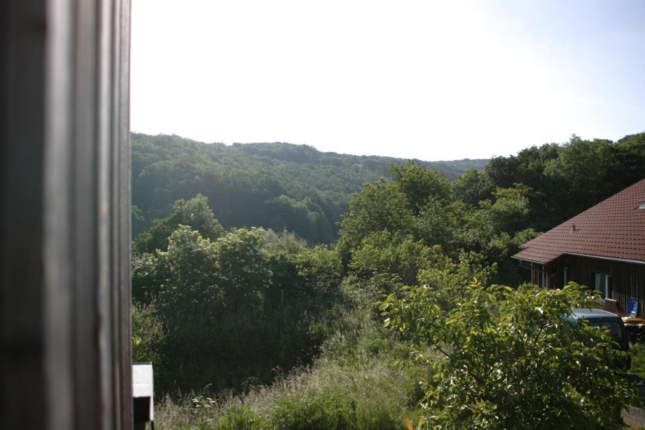 Rech Hof Urlaub Auf Dem Bauernhof Lägenhet Schalkenbach Exteriör bild
