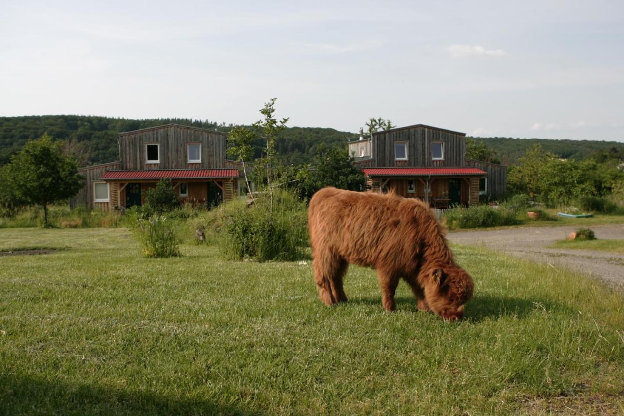 Rech Hof Urlaub Auf Dem Bauernhof Lägenhet Schalkenbach Exteriör bild