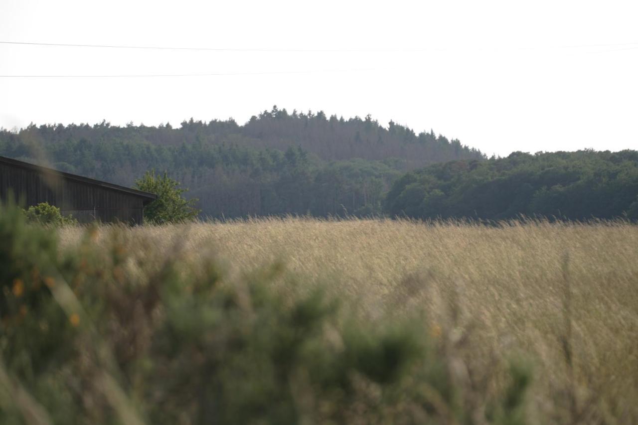 Rech Hof Urlaub Auf Dem Bauernhof Lägenhet Schalkenbach Exteriör bild