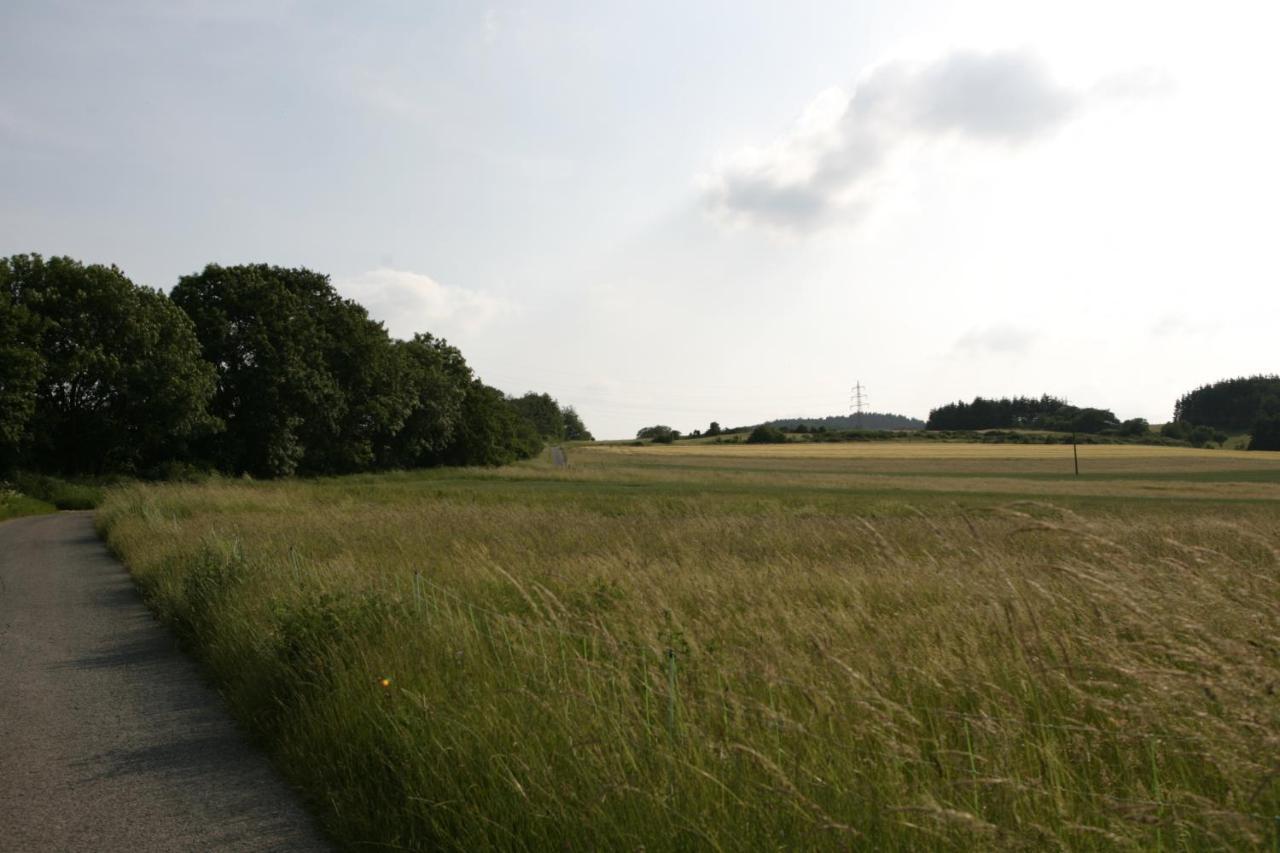 Rech Hof Urlaub Auf Dem Bauernhof Lägenhet Schalkenbach Exteriör bild