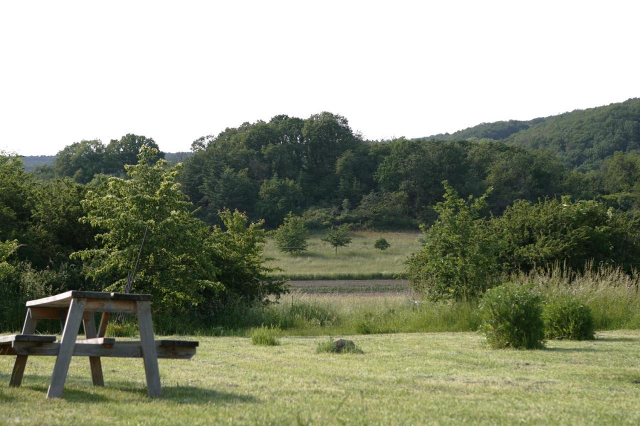Rech Hof Urlaub Auf Dem Bauernhof Lägenhet Schalkenbach Exteriör bild