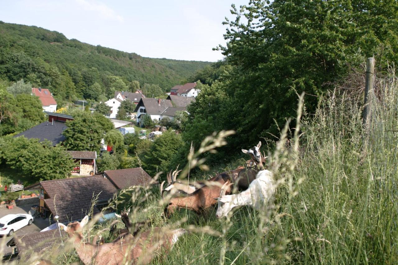 Rech Hof Urlaub Auf Dem Bauernhof Lägenhet Schalkenbach Exteriör bild